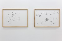 http://www.galeria-sabot.ro/files/gimgs/th-87_Drawings from caterpillars, 2015, ink on paper, 100 x 70 cm each.jpg